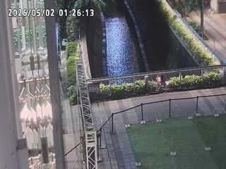 Water Feature