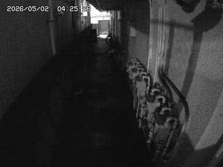Security webcam
