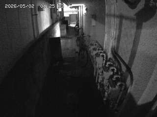 Security webcam