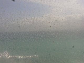 Webcam in Tokyo,Japan