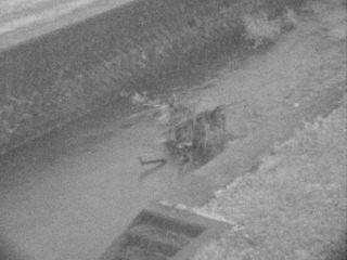 Drainage Ditch