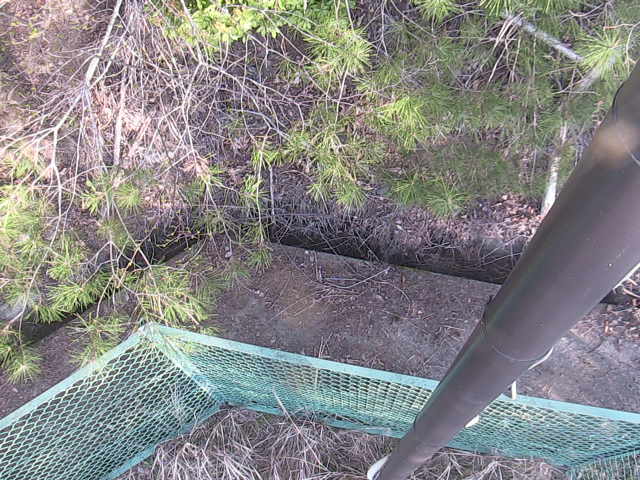 Webcam in Tokyo,Japan