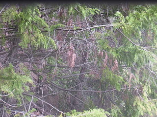 Webcam in Tokyo,Japan