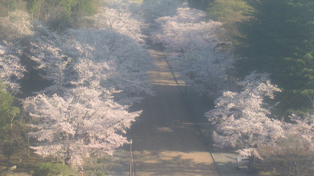 Webcam in Koriyama,Japan