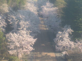 Webcam in Koriyama,Japan