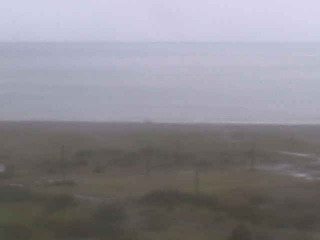 Tokyo Bay--roving webcam