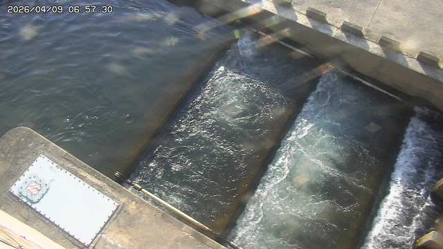 Webcam in Nagoya,Japan