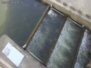Water Management