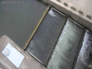Water Management