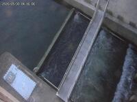 Water Management