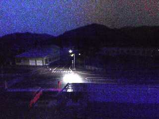 Businesses 