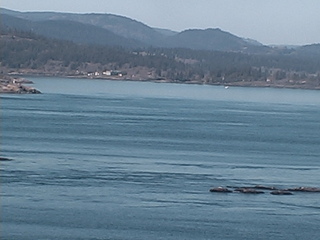 Webcam in Shawnigan Lake,Canada