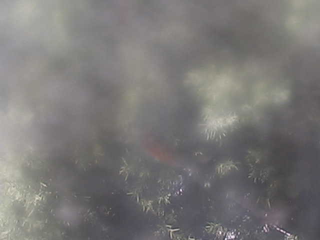 Webcam in San Luis Obispo,United States