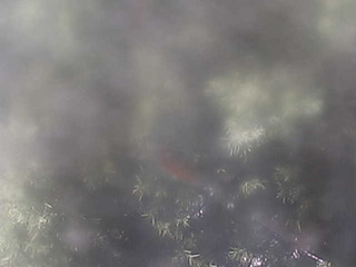 Webcam in San Luis Obispo,United States