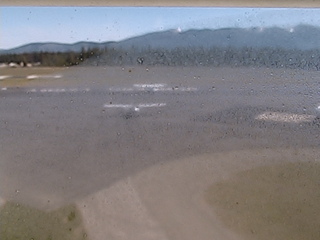 Webcam in Lexington,United States