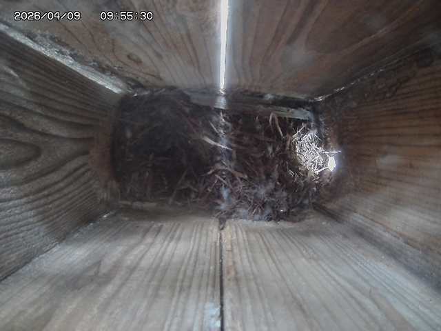 Webcam in Kitakyushu,Japan