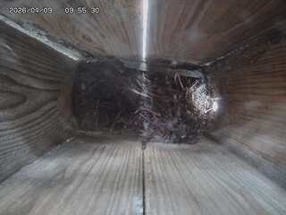 Webcam in Kitakyushu,Japan