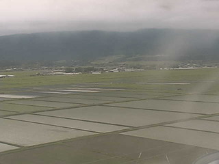 Fields