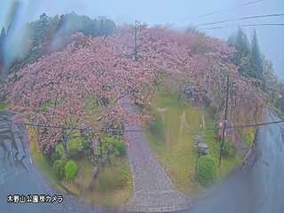 Webcam in Ibara,Japan