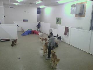 Webcam in Minneapolis,United States