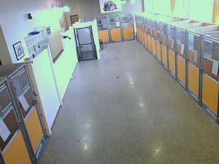 Webcam in Minneapolis,United States