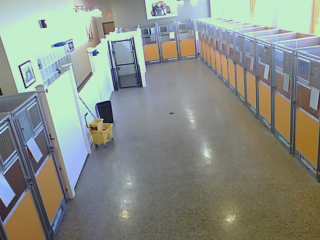 Dog Kennels