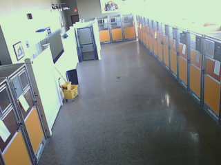 Dog Kennels