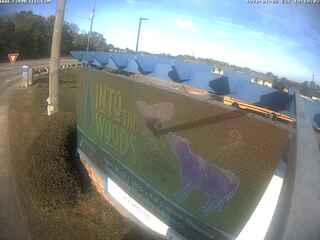 Webcam in United States