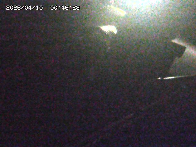 Webcam in Hakodate,Japan