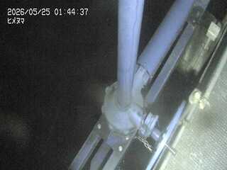 Security webcam