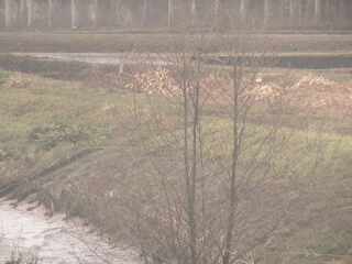 Webcam in Yokohama,Japan