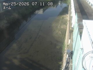 Water Management