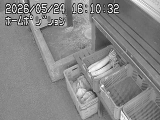 Security webcam
