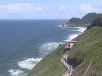 Pacific Ocean & Cliffside view