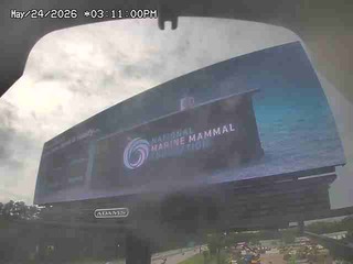 Billboard Advertising