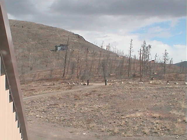 Webcam in United States