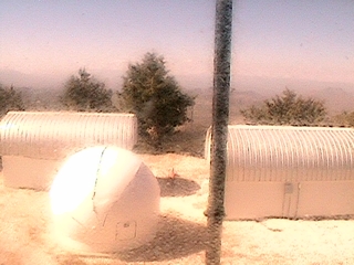 Green Houses