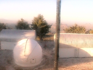 Green Houses