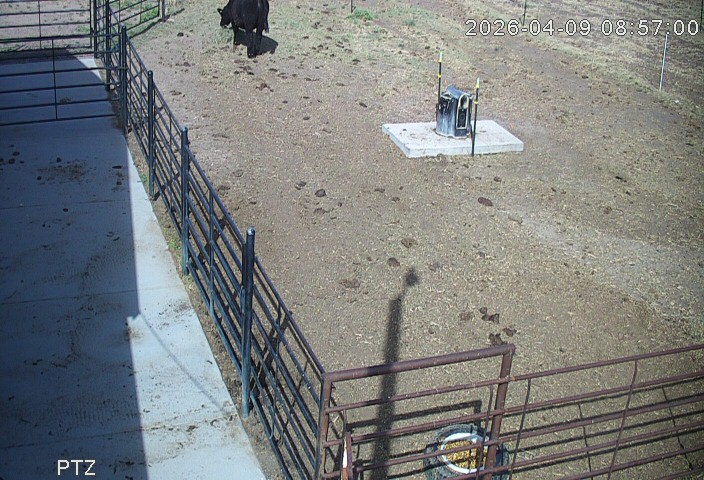 Webcam in Holyoke,United States