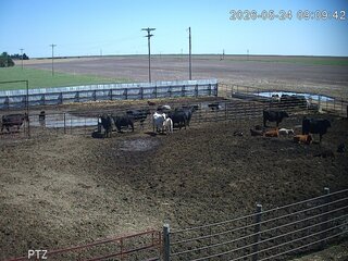 Cow Pasture