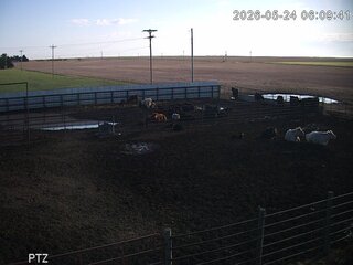 Cow Pasture