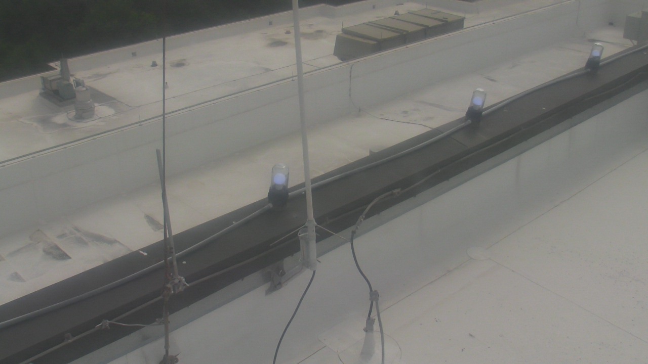 Webcam in Victoria,United States