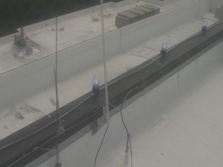 Webcam in Victoria,United States