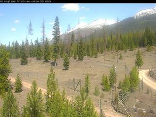 Trees & Mountain view