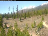 Trees & Mountain view