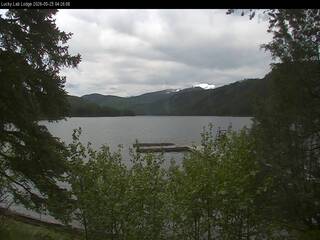 Lucky Lab Lodge