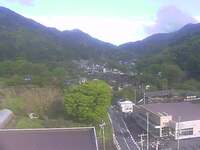 City view--roving webcam