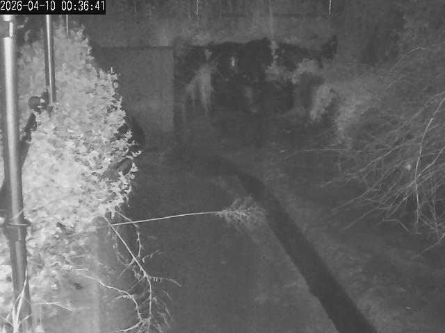 Webcam in Tokyo,Japan