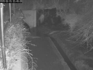 Drainage Ditch
