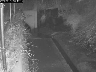 Drainage Ditch